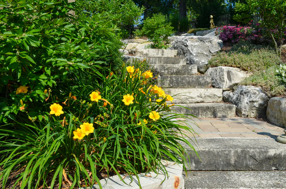 Yellow daylilies, stone steps, limestone boulders, paver walk, mulch beds, shrubs, and terraced planting.